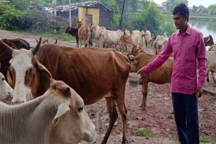 Dekuli Dharmapur milk production, Bihar village transformation, Milk production success story, Economic progress through dairy farming, Self-sufficiency in rural India, Female empowerment in agriculture, Financial stability through dairy, Farming and animal husbandry Bihar, Timul Milk Center, Village prosperity through milk, Small village big success, Rural development Bihar, Dairy farming financial impact, Model village milk production, Cattle rearing success story,