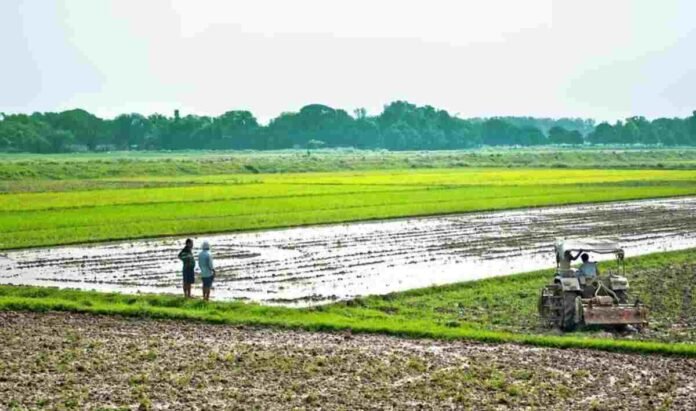 Madhya Pradesh, Project Vasundhara, sustainable farming, organic farming, farmer producer companies, Samunnati, agriculture India, low-residue farming,